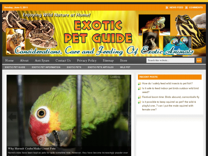 www.exoticpetguide.com