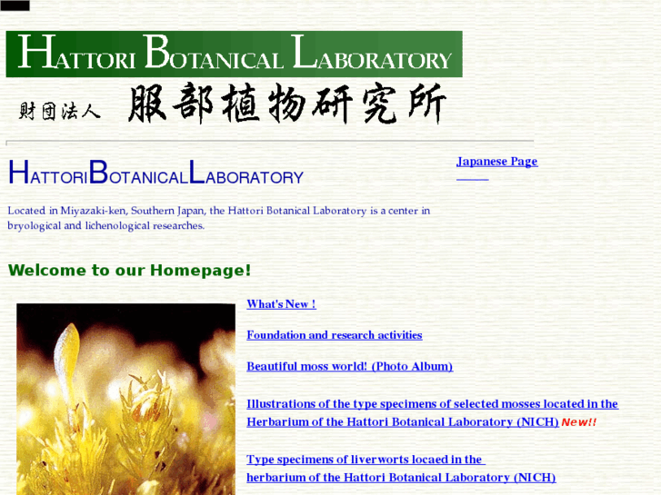 www.hattori-bot-lab.com