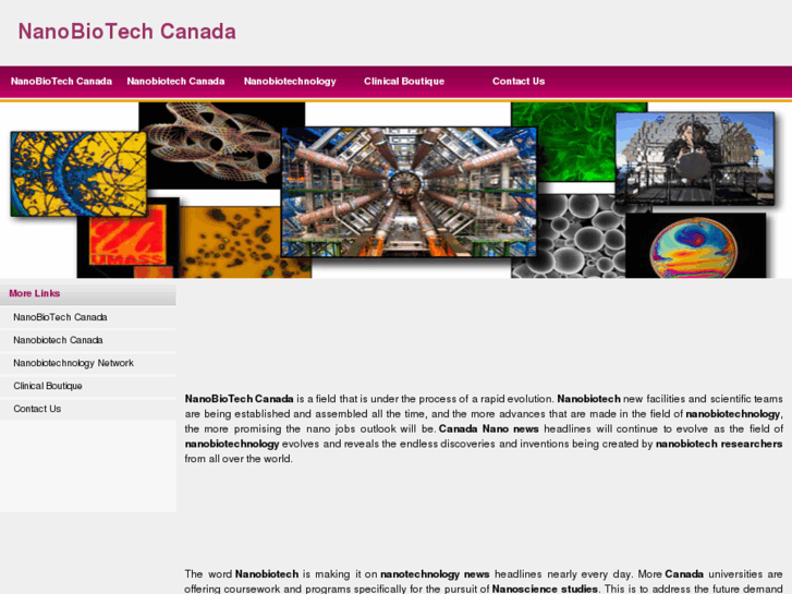 www.nanobiotech.ca