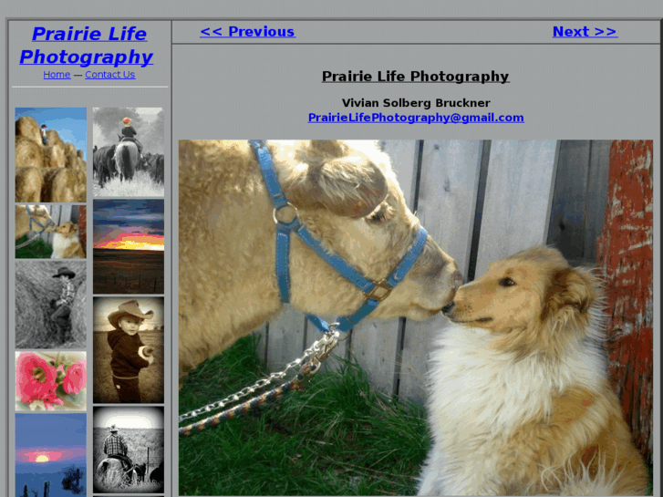 www.prairielifephotography.com