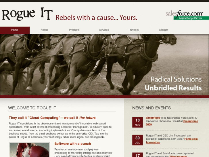 www.rogueit.net