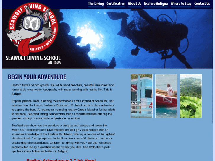 www.seawolfdivingschool.com