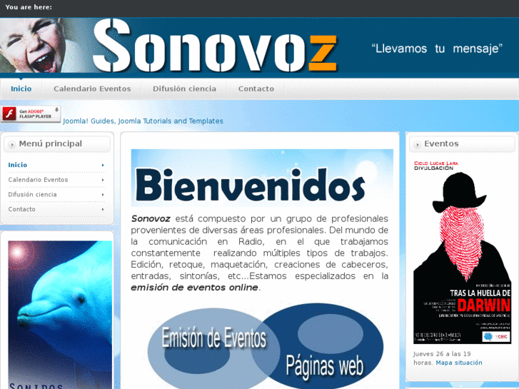 www.sonovoz.com