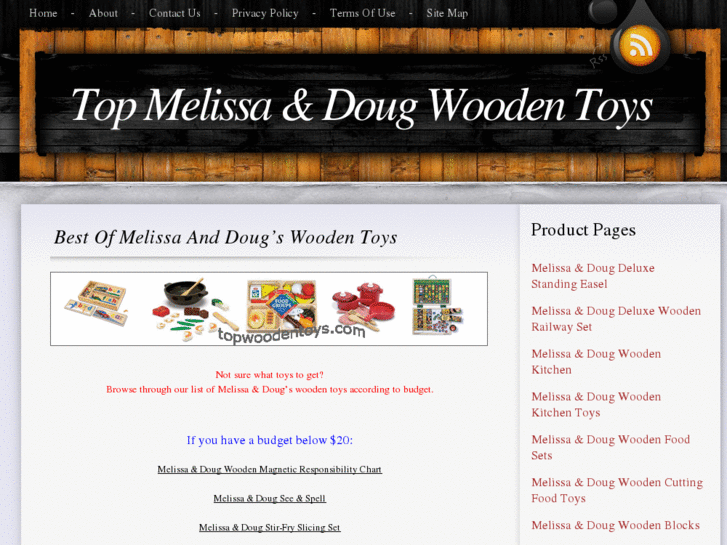 www.topwoodentoys.com