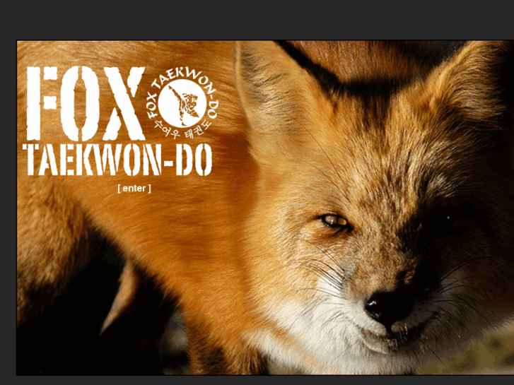 www.foxtaekwondo.com