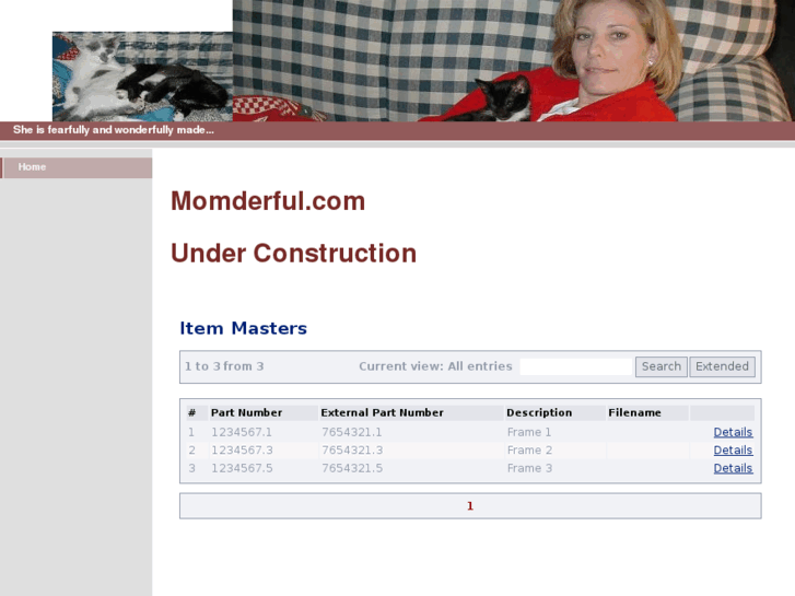 www.momderful.com