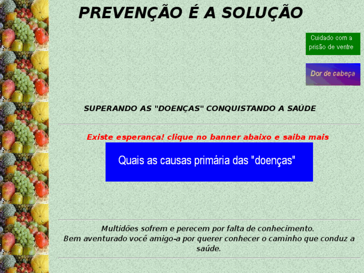 www.paulobrasil.net