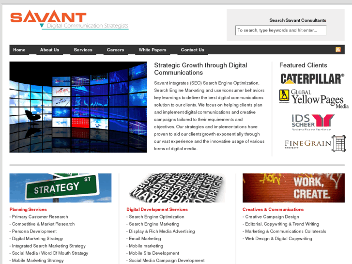 www.savantconsultants.com