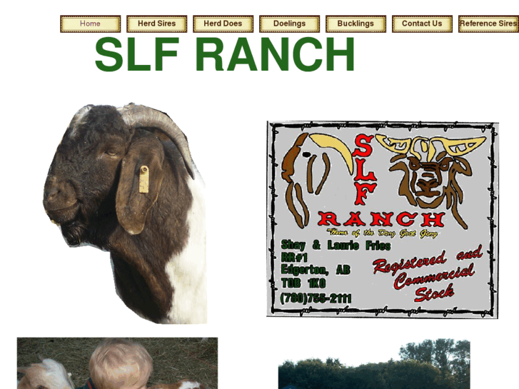 www.slfranch.com