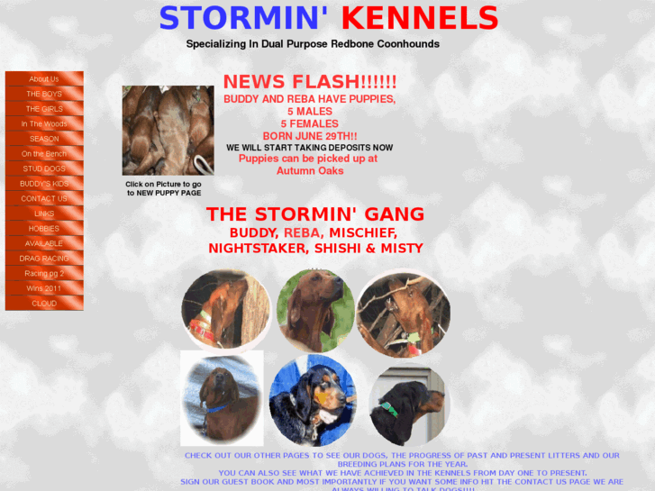 www.storminkennels.com