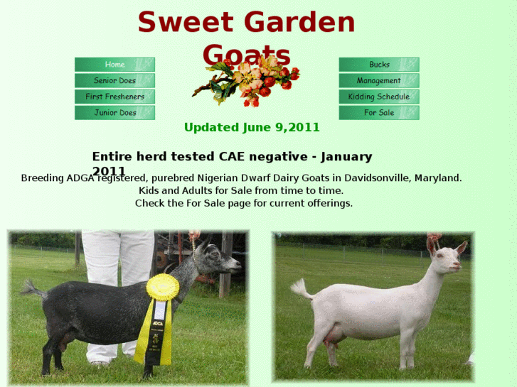 www.sweetgardengoats.com