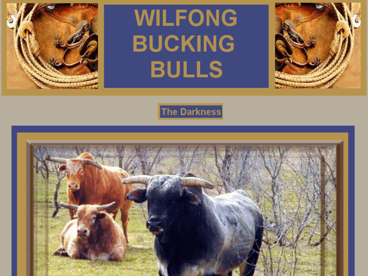 www.wilfongbuckingbulls.com