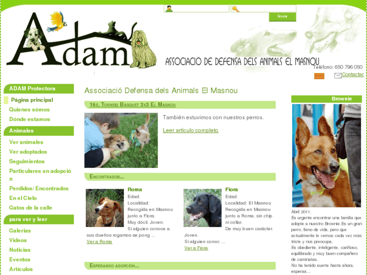 www.adamprotectora.org