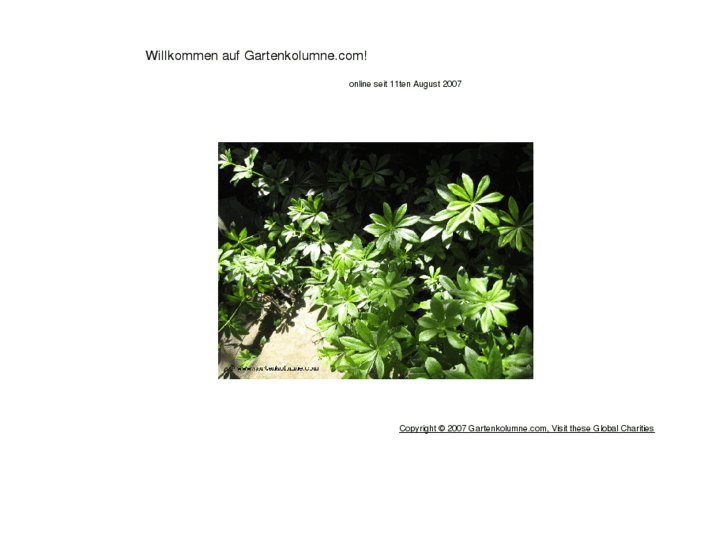 www.gartenkolumne.com