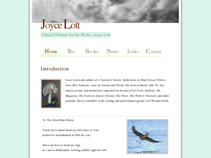 www.joycelott.com