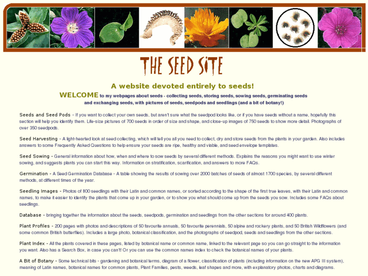 www.theseedsite.co.uk