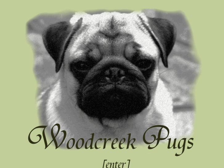 www.woodcreekpugs.com