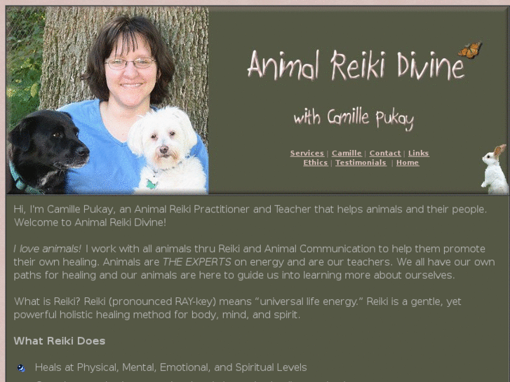 www.animalreikidivine.com