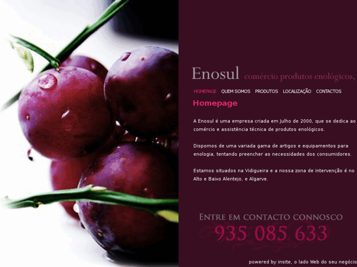 www.enosul.com