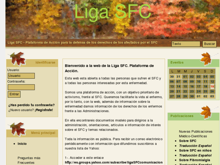 www.ligasfc.info