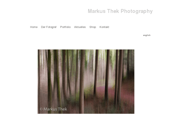 www.markusthek.com