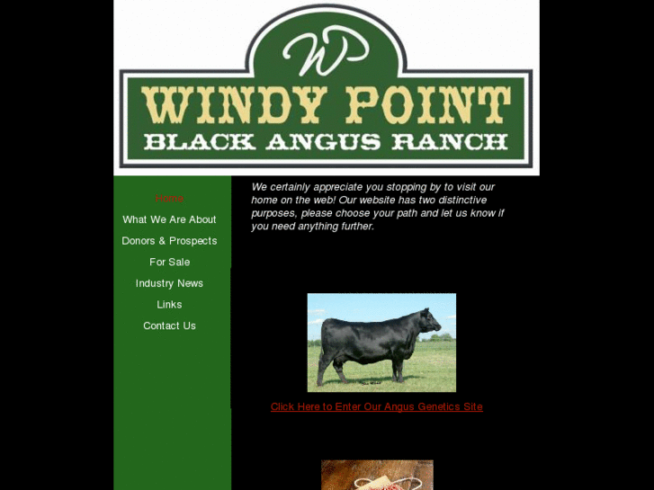 www.windypointangus.com