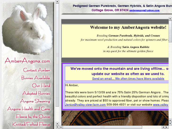 www.amberangora.com