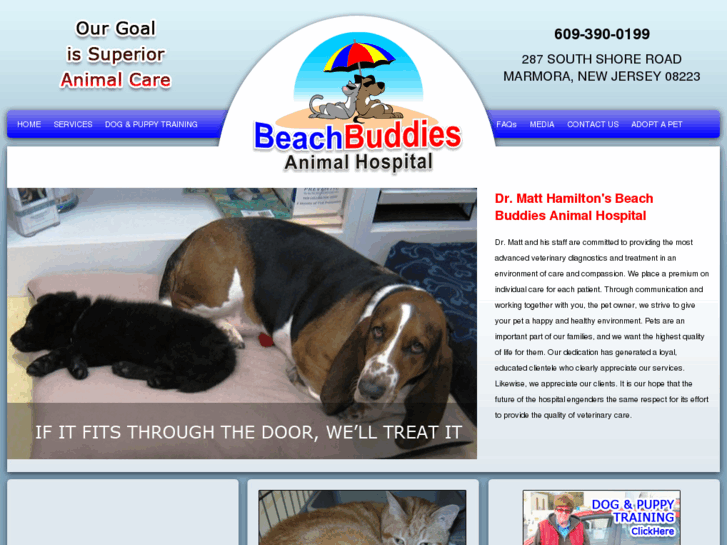 www.beachbuddies.biz