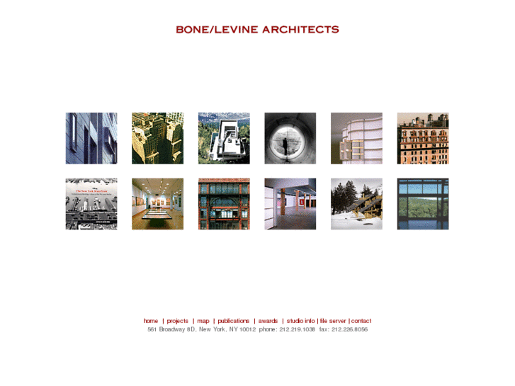 www.bonelevine.net