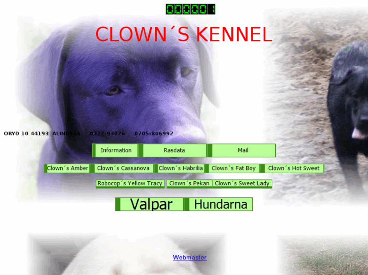 www.clownskennel.se