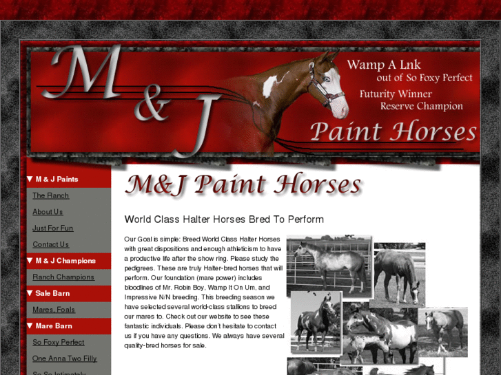 www.mjpainthorses.com