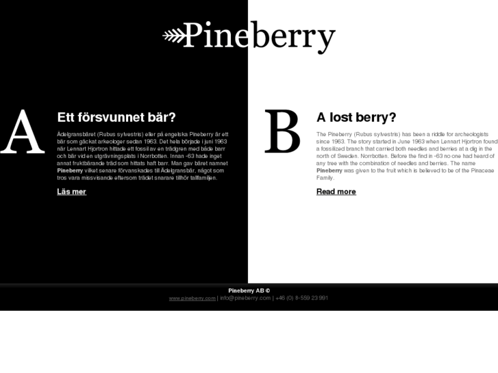 www.pineberry.info