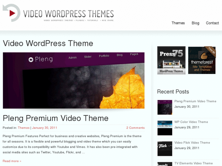 www.videowordpresstheme.com