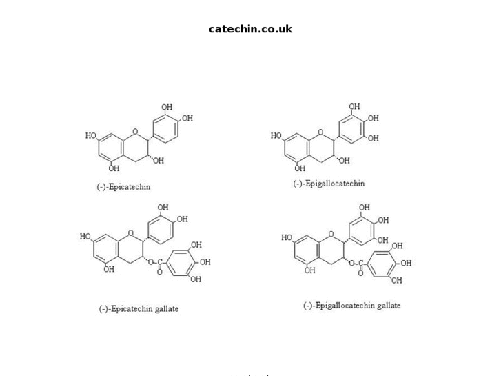 www.catechin.co.uk