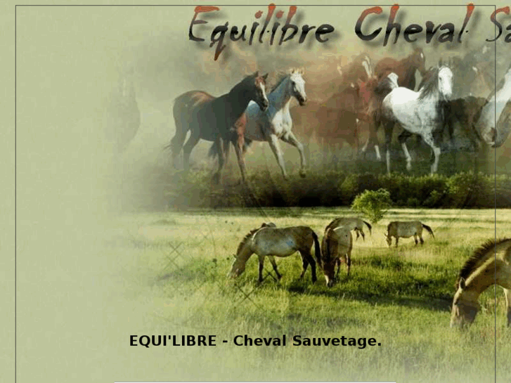 www.equilibre-cheval-sauvetage.com