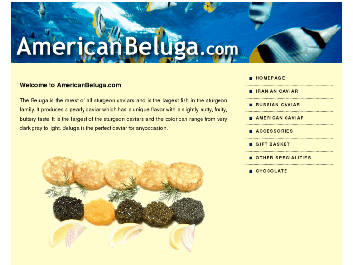 www.americanbeluga.com