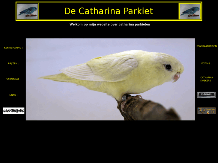 www.catharina-parkiet.com