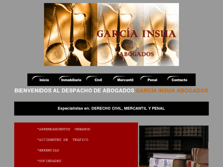 www.garciainsua.es