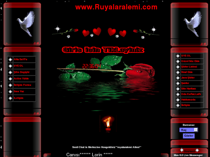 www.ruyalaralemi.com