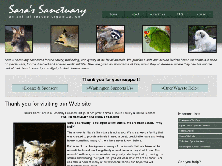 www.saras-sanctuary.com