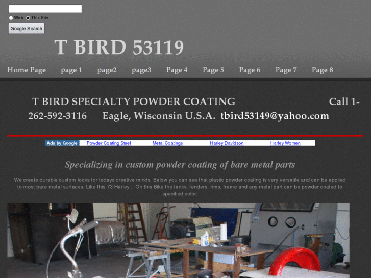 www.tbird53119.com