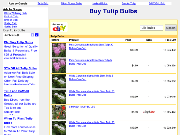 www.buytulipbulbs.com