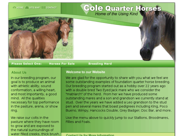 www.coleqtrhorses.com