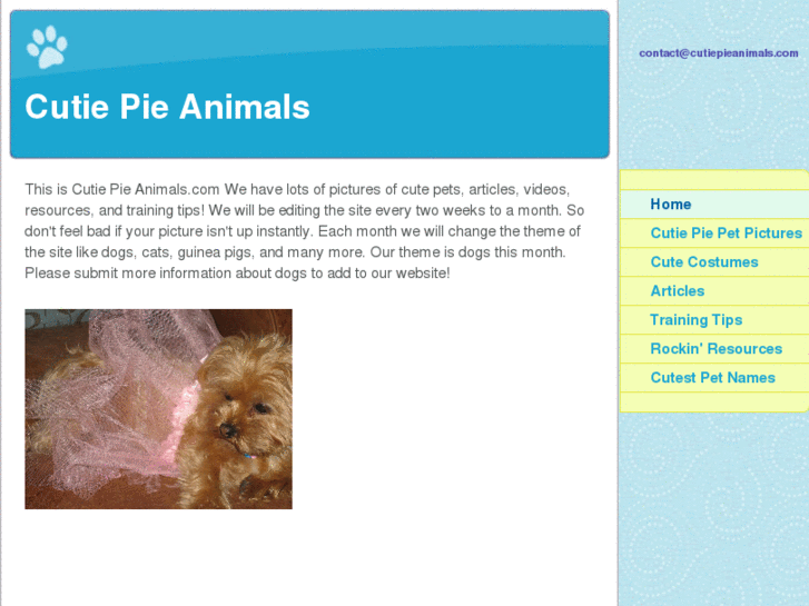 www.cutiepieanimals.com