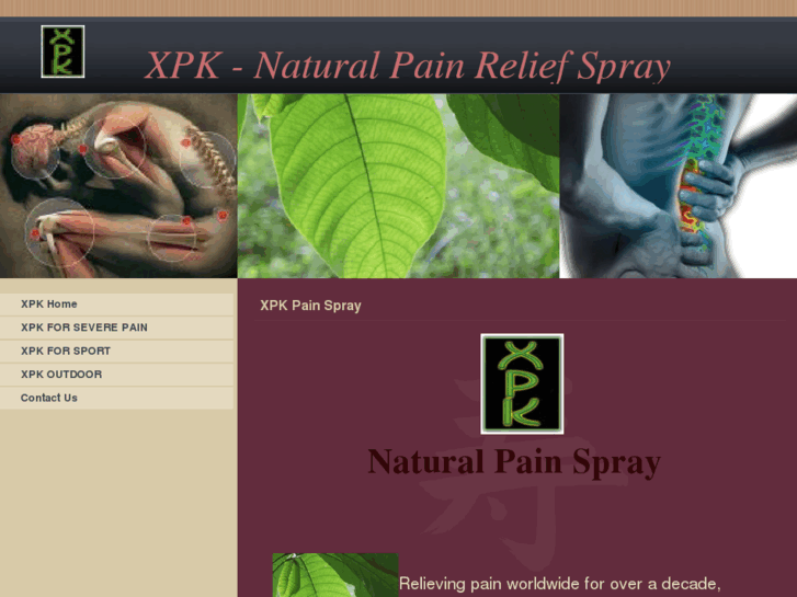 www.naturalpainspray.com