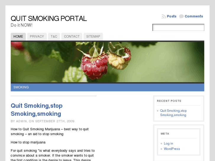 www.quit-smoking-portal.com