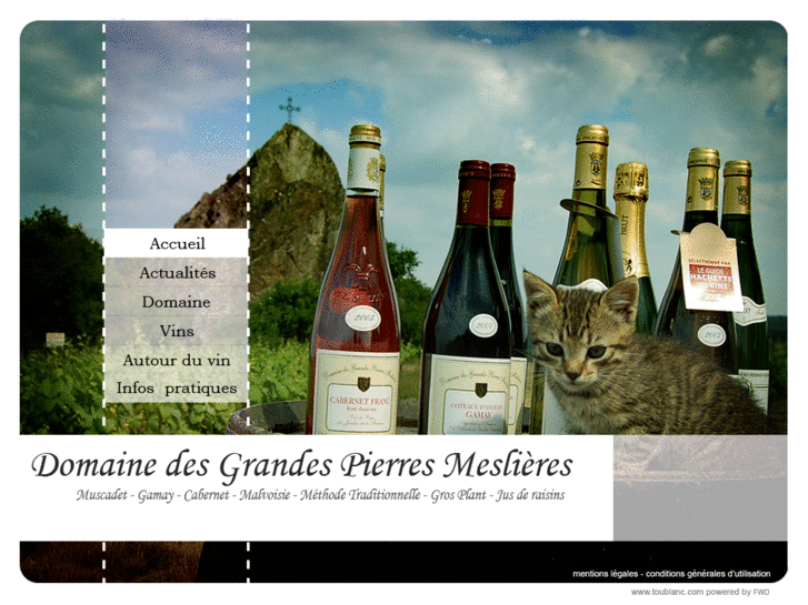 www.vinsdeloirechateaumesliere.com