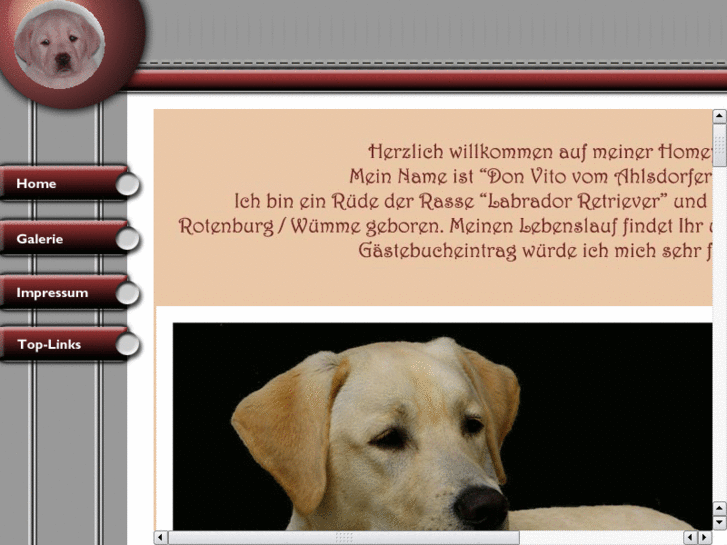 www.wilhelm-zimmermann.net