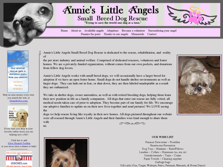 www.annieslittleangels.org