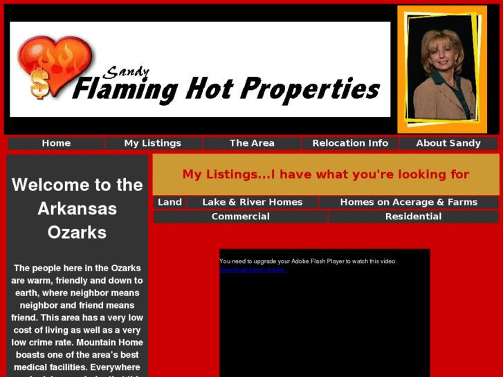 www.arkansasozarkproperties.com